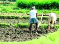 दहा हजार शेतकऱ्यांना कर्जमाफीची प्रतीक्षा - Marathi News | Waiting for debt relief for ten thousand farmers | Latest bhandara News at Lokmat.com