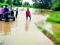 जिल्ह्यात जाेरदार पाऊस, गाेसेचे सर्व 33 दरवाजे उघडले - Marathi News | Heavy rains in the district opened all the 33 gates of the village | Latest bhandara News at Lokmat.com