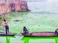 रामाळा तलावातील जलप्रदूषणाने मासे धोक्यात - Marathi News | Fish endangered by water pollution in Ramala Lake | Latest chandrapur News at Lokmat.com
