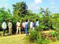 व्याघ्र संवर्धनासाठी महावितरणचे अधिकारी गस्तीवर - Marathi News | MSEDCL Gastiant for Tiger conservation | Latest chandrapur News at Lokmat.com