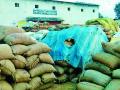बारदाण्याअभावी शेकडो क्विंटल धान उघड्यावर - Marathi News |  Hundreds of quintal rains open due to barbecine | Latest gondia News at Lokmat.com