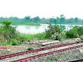 रेल्वेच्या कायद्यात अडकले तलावांचे सौदर्यीकरण - Marathi News | Taming of ponds damaged in Railway laws | Latest gondia News at Lokmat.com