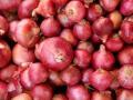 लासलगावी लाल कांदा दरात घसरण - Marathi News | Lasalgaon red onion prices fall | Latest nashik News at Lokmat.com