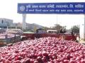 लासलगावी कांद्याची विक्रमी आवक, भाव घसरले - Marathi News | Lassalgavi onions, record fall, prices fall | Latest nashik News at Lokmat.com