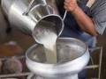 दुध दरवाढ होत नसल्याने शेतकऱ्यांमध्ये नाराजी - Marathi News | Due to lack of milk prices, farmers are angry | Latest nashik News at Lokmat.com