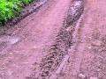 नांदूरशिंगोटेत शिवार रस्त्यांची दुरवस्था - Marathi News | Poor condition of Shivar roads in Nandurshingote | Latest nashik News at Lokmat.com