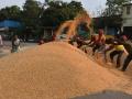 भरड धान्य खरेदी केंद्राला मंजुरी - Marathi News | Approval for bulk grain purchase center | Latest nandurbar News at Lokmat.com