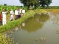 अखेर ‘त्या’ शेतातील पंचनामा सुरू - Marathi News | Finally, the panchnama of 'that' field started | Latest nandurbar News at Lokmat.com