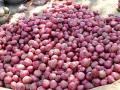 कांदा अनुदान मागणी अर्जाकरीता मुदत वाढ - Marathi News | Fixed Growth for Onion Grant Demand Request | Latest nashik News at Lokmat.com