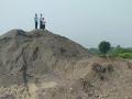 कुरंगी येथील वाळूसाठा उचलण्यास स्थगिती - Marathi News | Postponement of pickup of sand at Korangi | Latest jalgaon News at Lokmat.com