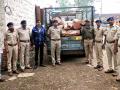 लाखोच्या मालाच्या लाकडाचा तस्करी करतांना लाकडासह टेम्पो जप्त ! - Marathi News | Tempo confiscated along with timber while smuggling timber worth lakhs of goods! | Latest nashik News at Lokmat.com