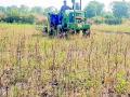 शेतकऱ्याने साडेतीन एकरातील सोयाबीनवर चालविला रोटाव्हेटर - Marathi News | The farmer runs a three and a half acre soybean rotavator | Latest vardha News at Lokmat.com