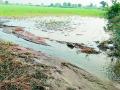 वितरिकेच्या पाण्यामुळे शेताला आले तळ्याचे स्वरूप - Marathi News | The nature of the pond came to the field due to the distribution water | Latest vardha News at Lokmat.com