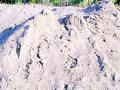 रेती उत्खननाची चौकशी करण्याचे आदेश - Marathi News | Order to investigate sand excavation | Latest yavatmal News at Lokmat.com