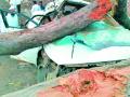 बेधुंद ‘ड्रायव्हिंग’ने घेतला दोघांचा बळी - Marathi News | The victim of 'Driving' with a crazy 'driving' | Latest yavatmal News at Lokmat.com