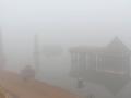 दाट धुक्यात कोल्हापूर हरवले, दहापर्यंत धुक्याची चादर कायम - Marathi News |  Kolhapur lost in dense fog, remained blanket till ten | Latest kolhapur News at Lokmat.com