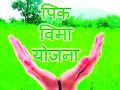 फक्त २ हजार ७७७ शेतकऱ्यांनाच लाभ - Marathi News | Only 2 thousand 777 farmers benefit | Latest chandrapur News at Lokmat.com