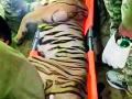 तब्बल सहा तास चालले वाघाचे रेस्क्यू - Marathi News | The rescue of the tiger lasted for six hours | Latest chandrapur News at Lokmat.com