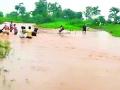 नाल्यांना पूर, शेकडो गावात शिरले पाणी - Marathi News | Floods in nallas, hundreds of villages flooded | Latest chandrapur News at Lokmat.com