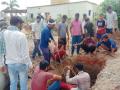आठ फूट खोल खड्ड्यात पडलेल्या गायीला अखेर वाचविले - Marathi News | The cow, which had fallen into an eight-foot-deep pit, was finally rescued | Latest chandrapur News at Lokmat.com