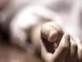 विजेचा शॉक लागून कामगाराचा मृत्यू - Marathi News | Death of a worker due to electric shock | Latest nashik News at Lokmat.com