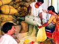 ‘नवसंजीवनी’तील २५३ गावे मोफत धान्यास मुकणार - Marathi News | 253 villages in Navsanjeevani will get free foodgrains | Latest gadchiroli News at Lokmat.com