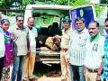 लाकूड तस्करी करणारी दोन वाहने जप्त - Marathi News | Wood smugglers seize two vehicles | Latest gadchiroli News at Lokmat.com