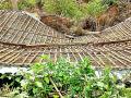 वादळी वाऱ्याने घराचे छत उडाले - Marathi News | The stormy wind made the roof of the house | Latest gondia News at Lokmat.com