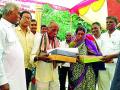 गोवारी समाजाची गोवर्धन पूजा - Marathi News | Govardhan Pooja of Govari community | Latest gondia News at Lokmat.com