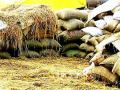 अबब...२७ हजार क्विंटल धान झाले गायब - Marathi News | Aab ... 27 thousand quintals of rice will disappear | Latest gondia News at Lokmat.com