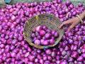 कांदा दरात घसरण सुरुच - Marathi News | Onion prices continue to fall | Latest nashik News at Lokmat.com