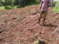 हाताला काम नाही अन् शेतात पीकही नाही ! - Marathi News | No work at hand, no crop in the field! | Latest nashik News at Lokmat.com