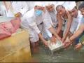 द्वादशीला मुक्ताई पादुकांचे चंद्रभागा स्नान - Marathi News | Chandrabhaga bath of Muktai Padukan on Dwadashi | Latest jalgaon News at Lokmat.com
