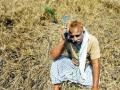 बियाणे सदोष निघाल्याने शेतकरी संतप्त - Marathi News | Farmers angry over faulty seeds | Latest nashik News at Lokmat.com