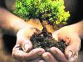 त्र्यंबकेश्वर आश्रमात वृक्षारोपण महायज्ञ - Marathi News | Tree Plantation in Trimbakeshwar Ashram | Latest nashik News at Lokmat.com