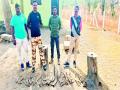 चितळ हरणांचे २२ शिंगे आढळली - Marathi News |  22 horns of chital deer were found | Latest jalgaon News at Lokmat.com