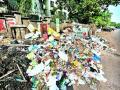 कचरा टाकणायांवर कारवाईची प्रतीक्षा - Marathi News |  Waiting for action on garbage doves | Latest nashik News at Lokmat.com