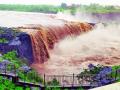 अतिपावसाने जिल्ह्यातील पीक परिस्थिती नाजूक - Marathi News | Crop conditions in the district are critical due to heavy rains | Latest yavatmal News at Lokmat.com