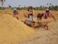 गोंदियात शासकीय धान खरेदीत अनियमितता - Marathi News | Irregularities in government procurement of paddy in Gondia | Latest gondia News at Lokmat.com