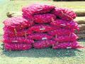 एक लाख रुपये किमतीच्या कांद्याची चोेरी - Marathi News |  One lakh rupees worth of onions | Latest nashik News at Lokmat.com