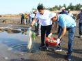उत्तन समुद्र किनारा स्वच्छ ठेवण्याचे आवाहन  - Marathi News | A call to keep Utan Beach clean thane | Latest thane News at Lokmat.com