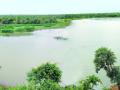 जुलैअखेरही नागपूर विभागातील धरणे कोरडीच - Marathi News | In July, the dam was empty in the Nagpur division | Latest nagpur News at Lokmat.com