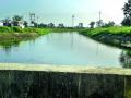 पेंचचा कालवा दुरुस्तीच्या प्रतीक्षेत - Marathi News | The screw canal is waiting for the repair | Latest nagpur News at Lokmat.com