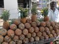 कोल्हापूर : बटाटा झाला दुप्पट; डाळिंब, बोरांची आवक वाढली - Marathi News | Kolhapur: Due to the consumption of potato; Pomegranate and bore rise inward | Latest kolhapur News at Lokmat.com