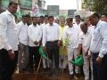 ग्रीन होपच्या वतीने नवी मुंबईत वृक्षारोपण - Marathi News | Tree plantation in Navi Mumbai on behalf of Green Hope | Latest navi-mumbai News at Lokmat.com