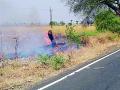 धुऱ्यावरील आगीत झाडांचे मरण - Marathi News | Blaze Fire | Latest amravati News at Lokmat.com