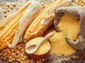 मालेगावची मका खरेदी योजना अडकली वादाच्या भोवºयात ! - Marathi News | Malegaon maize procurement scheme stuck in controversy! | Latest nashik News at Lokmat.com