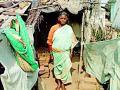 वृद्ध महिला घरकुलपासून वंचित - Marathi News | Older women deprived of cottage | Latest chandrapur News at Lokmat.com
