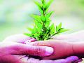 १ कोटी ४ लाख ७१ हजार १६१ वृक्षांची लागवड - Marathi News | 2 crore 2 lakh 5 thousand 5 trees are planted | Latest chandrapur News at Lokmat.com