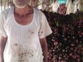 चाळीत युरिया टाकल्यामुळे १२० क्विंटल कांदा सडला - Marathi News | In the sieve, urea was burned by 3 quintals of onion | Latest nashik News at Lokmat.com